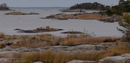 Stora- och Lilla Eken