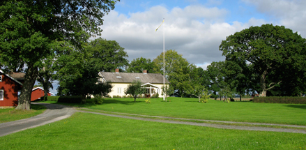 Brynåsa