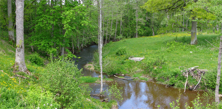 Öredalsån / Djupedal